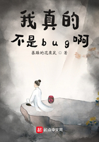 我真的不是bug啊在線閱讀