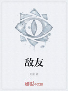 敌友在线阅读