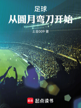 足球：从圆月弯刀开始在线阅读