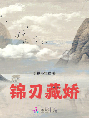 锦刃藏娇在线阅读