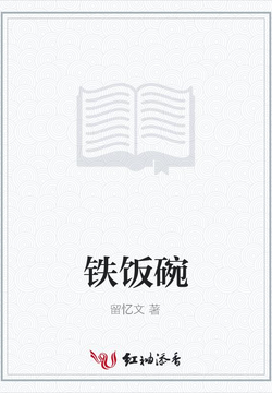 铁饭碗 封面