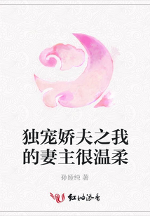 獨寵嬌夫之我的妻主很溫柔