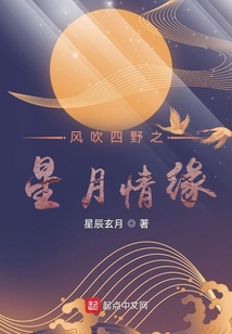 風吹四野之星月情緣