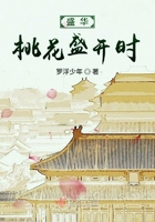盛华桃花盛开时在线阅读