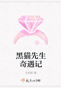 黑猫先生奇遇记