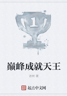 巔峰成就天王