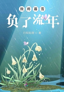 我將暮雪負了流年