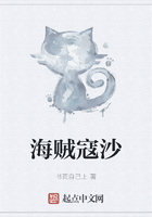 海贼寇沙