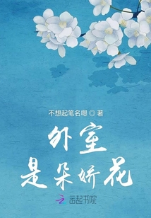 外室是朵嬌花