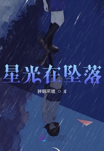 星光在墜落