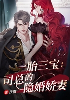 一胎三宝:司总的隐婚娇妻
