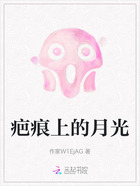 疤痕上的月光在线阅读