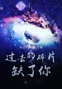 過去的碎片缺了你
