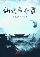 仙武之帝君在線閱讀