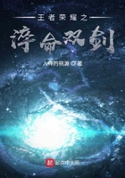 王者荣耀之淬命双剑