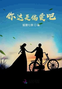 你這是偏愛吧