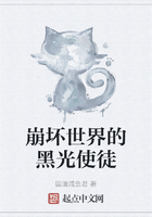 崩坏世界的黑光使徒在线阅读
