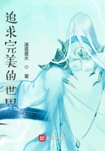 追求完美的世界