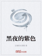 黑夜的紫色在線閱讀