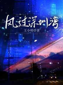 風過深圳灣