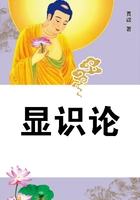 顯識論在線閱讀