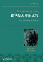 钢铁是怎样炼成的在线阅读