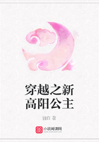 穿越之新高陽公主在線閱讀