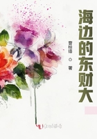海邊的東財大在線閱讀