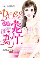 奈何BOSS宠妻忙