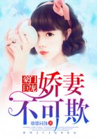 豪門巨寵：嬌妻不可欺在線閱讀