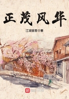 正茂风华在线阅读