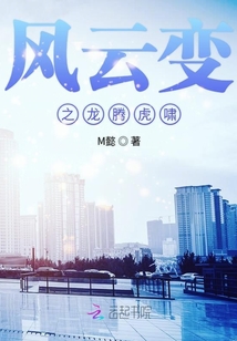 風云變之龍騰虎嘯