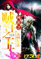 網游之賊王之王在線閱讀