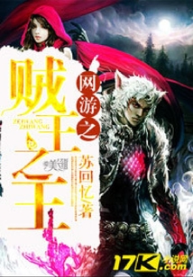 網(wǎng)游之賊王之王