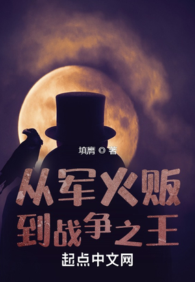 从军火贩到战争之王在线阅读