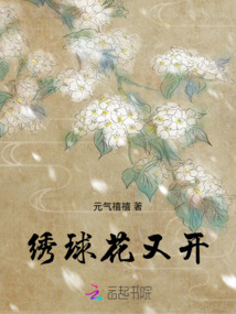 繡球花又開