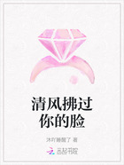 清风拂过你的脸