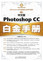 中文版Photoshop CC白金手册在线阅读