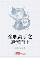 全职高手之逆流而上在线阅读