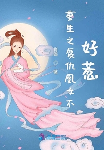 重生之復仇凰女不好惹