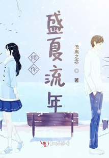 傾你盛夏流年