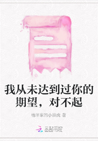 我從未達到過你的期望，對不起在線閱讀