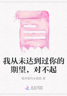 我從未達到過你的期望，對不起
