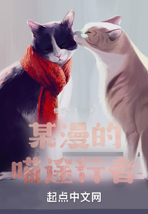 某漫的喵途行者