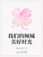 我們的傾城美好時(shí)光在線閱讀
