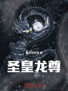 圣皇龙尊在线阅读