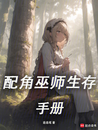 配角巫师生存手册在线阅读