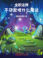 全职法师:不贷款修什么魔法!在线阅读