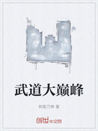 武道大巅峰在线阅读