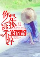 你是我逃不掉的宿命在線閱讀